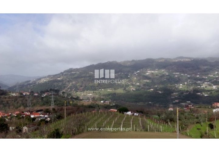 Landejendom i Cinfaes, Viseu, Cinfaes - € 160.000 | Ref: MC09871 - foto 1