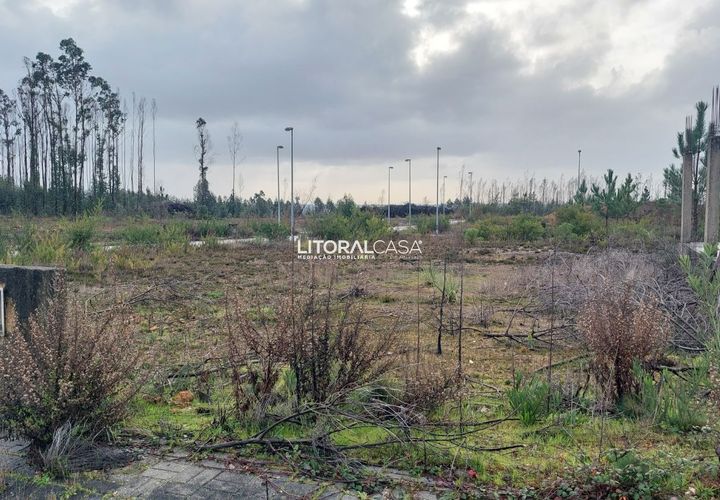 Helårsgrund i Agueda, Aveiro, Agueda - € 27.500 | Ref: VEN-4168 C - foto 1