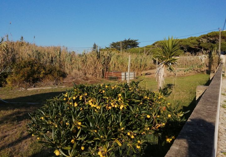 Helårsgrund i Sintra, Lisbon, Sintra - € 3.250.000 | Ref: DH133 - foto 1