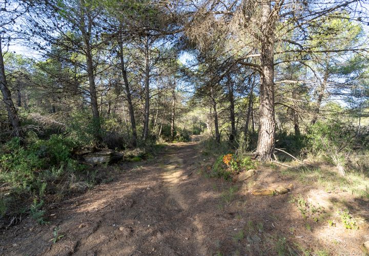 Finca i Corachar, Castellon, Corachar - € 65.000 | Ref: 326 - foto 1