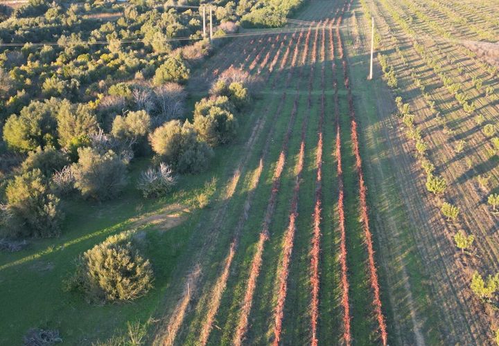 Helårsgrund i Algoz, Faro, Algoz - € 89.000 | Ref: SF-SAFTI:007674 - foto 1