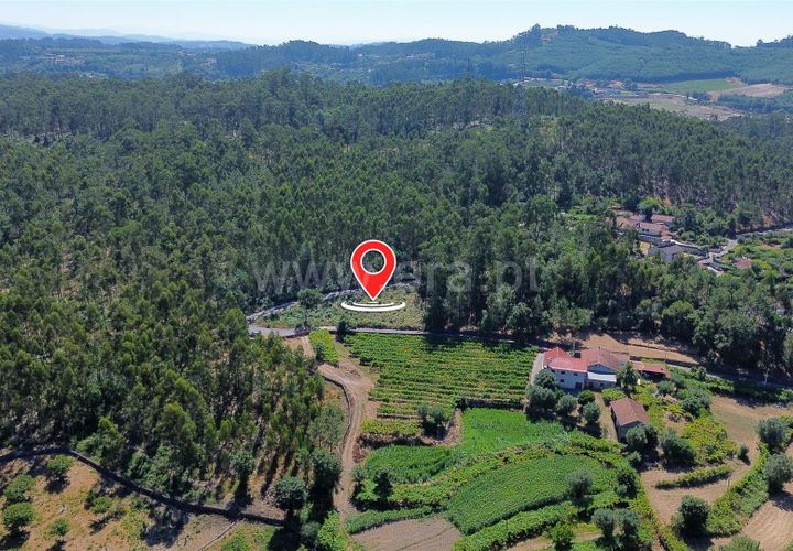 Helårsgrund i Ponte de Lima, Viana do Castelo, Ponte de Lima - € 45.000 | Ref: 254250260 - foto 1