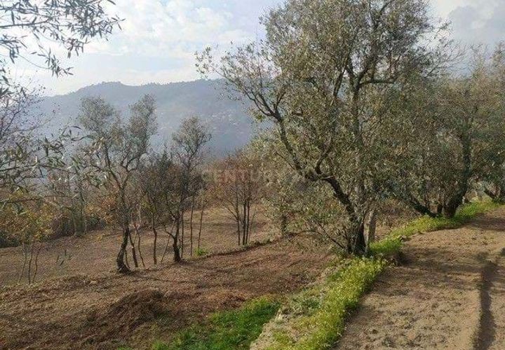 Villa a Cinfaes, Viseu, Cinfaes - € 125.000 | Ref: C0406-02237 - foto 1