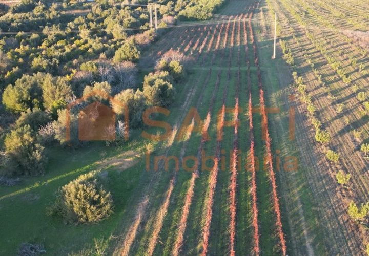 Helårsgrund i Algoz, Faro, Algoz - € 89.000 | Ref: SAFTI:007674 - foto 1