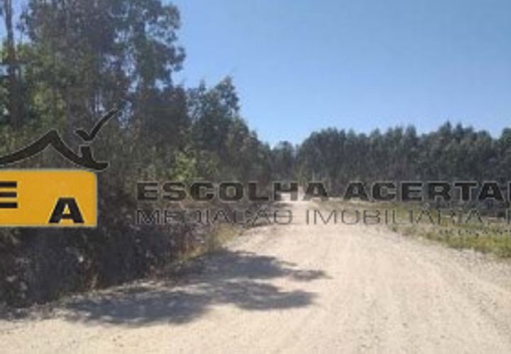 Helårsgrund i Valongo, Porto, Valongo - € 11.000.000 | Ref: 10997 - foto 1