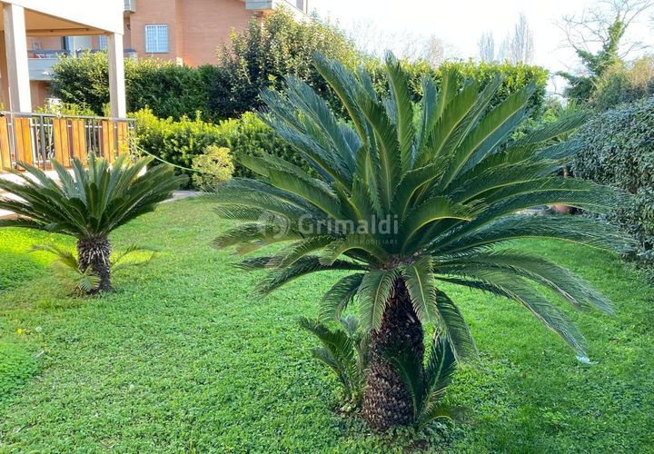 Villa a Anzio, Rome, Anzio - € 1.200/mes | Ref: SV157 - foto 1