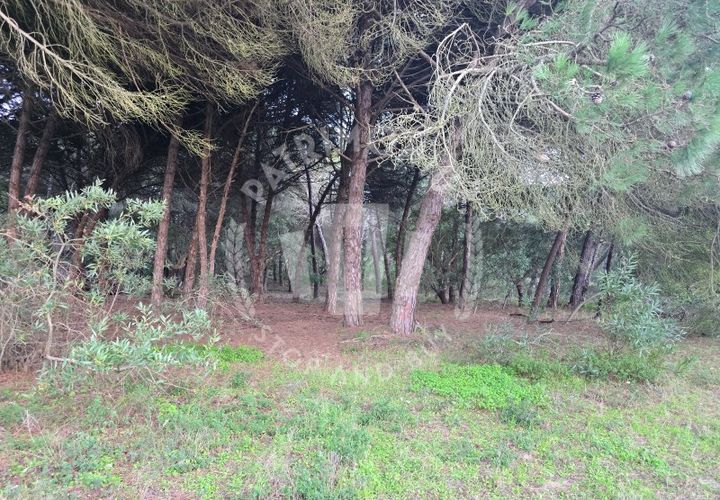 Helårsgrund i Sines, Setubal, Sines - € 600.000 | Ref: PT03T-0691 - foto 1