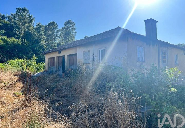 Farm i Amarante, Porto, Amarante - € 245.000 | Ref: 786339 - foto 1