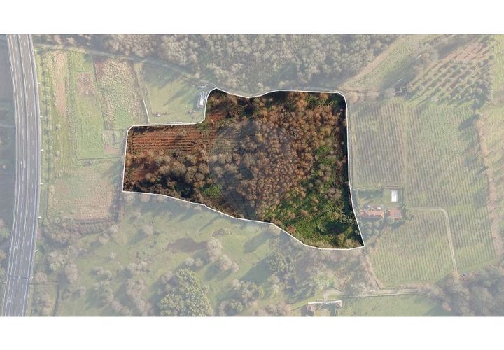 Farm i Ponte de Lima, Viana do Castelo, Ponte de Lima - € 299.000 | Ref: 123731006-163 - foto 1