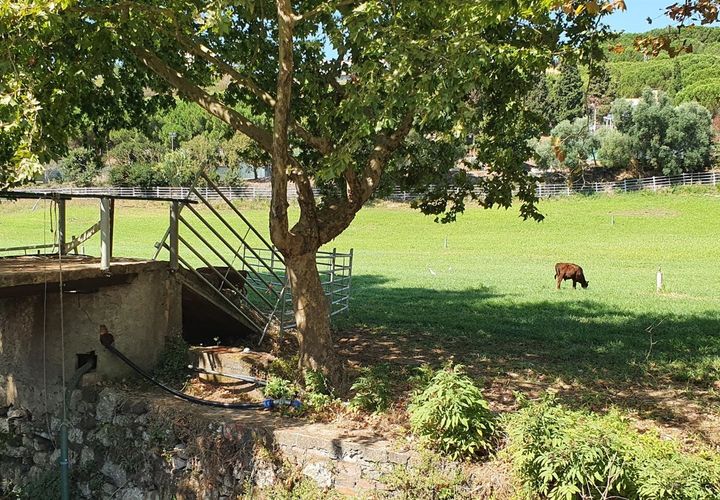 Helårsgrund i Oeiras, Lisbon, Oeiras - € 9.800.000 | Ref: 611511002 - foto 1