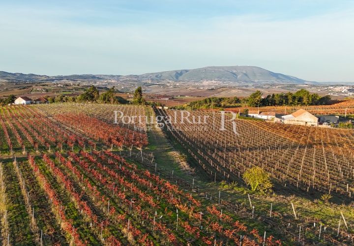 Farm i Alenquer, Lisbon, Alenquer - € 1.980.000 | Ref: FG355 - foto 1