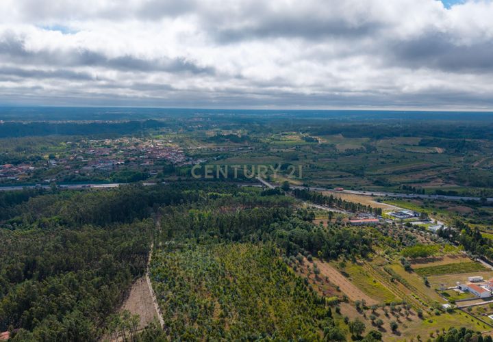 Helårsgrund i Mealhada, Aveiro, Mealhada - € 43.900 | Ref: C0364-04784 - foto 1