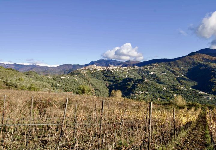 Helårsgrund i Perinaldo, Imperia, Perinaldo - € 275.000 | Ref: T220-840721 - foto 1