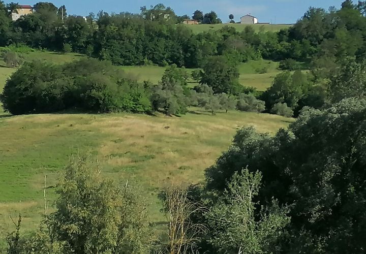 Helårsgrund i Corridonia, Macerata, Corridonia - € 65.000 | Ref: MC0-33784 - foto 1