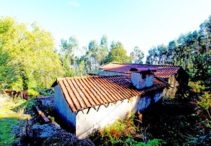 Villa a Barcelos, Braga, Barcelos - € 39.000 | Ref: C0437-00021 - foto 1