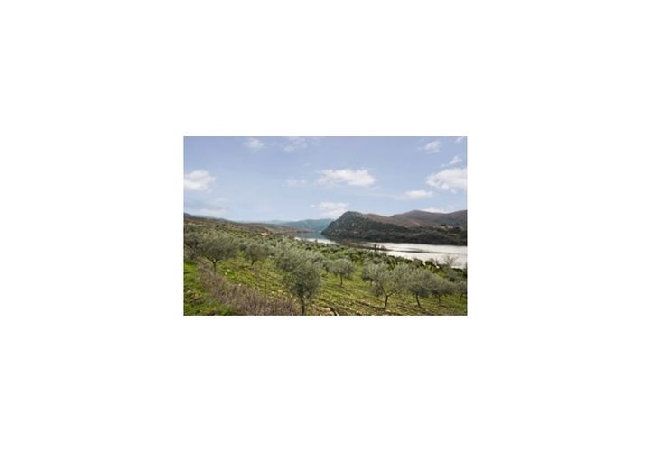 Farm i Torre de Moncorvo, Braganca, Torre de Moncorvo - € 650.000 | Ref: FIN_798 - foto 1