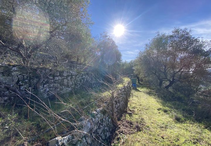 Helårsgrund i Drap, Alpes-Maritimes, Drap - € 269.000 | Ref: 1231 - foto 1