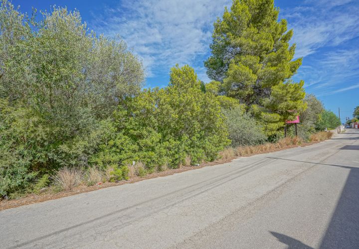 Terra a Benissa, Alicante, Benissa - € 240.000 | Ref: HIOPZNG1 - foto 1