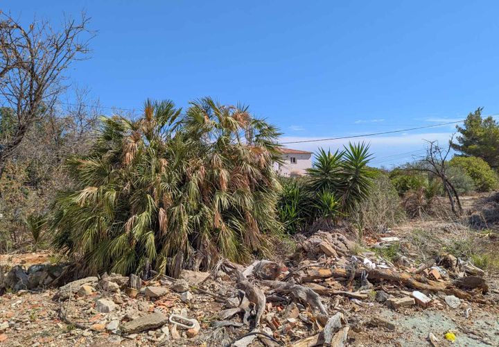 Terra a Denia, Alicante, Denia - € 250.000 | Ref: HIRQSZ3I - foto 1