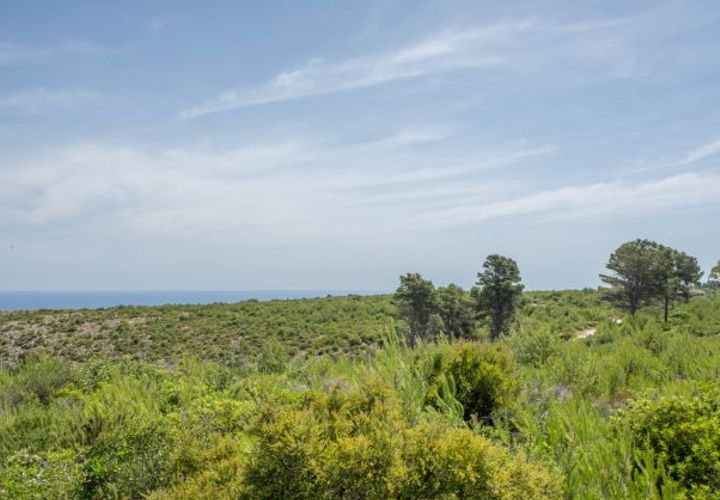 Terra a Javea, Alicante, Javea - € 599.000 | Ref: HIZITL9X - foto 1