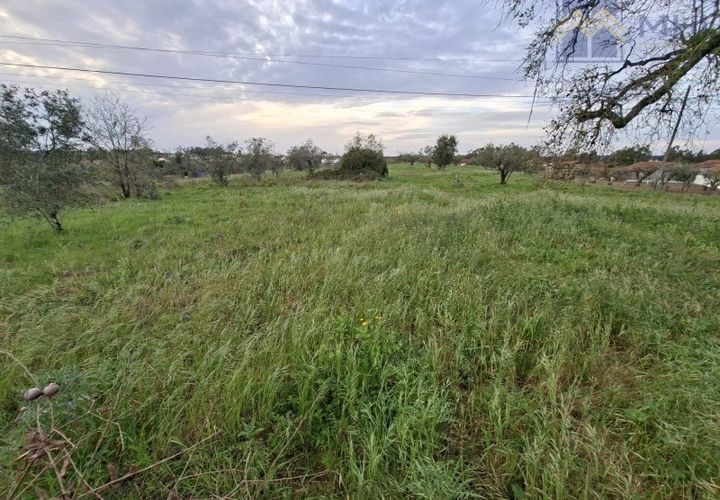 Helårsgrund i Pombal, Leiria, Pombal - € 50.000 | Ref: MHI353 - foto 1