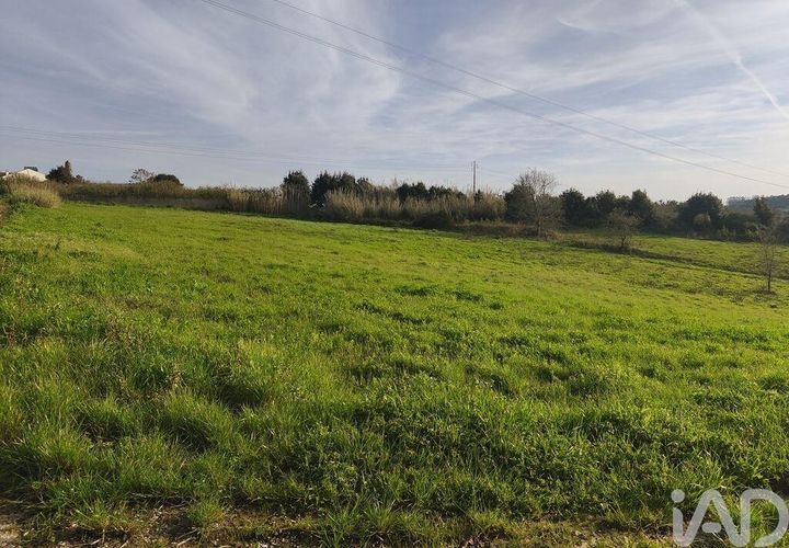 Terra a Alcobaca, Leiria, Alcobaca - € 130.000 | Ref: 799185 - foto 1