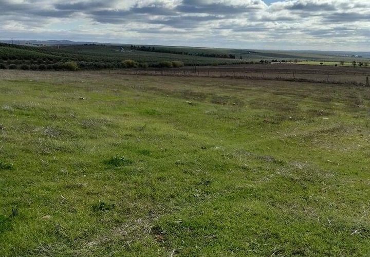 Helårsgrund i Beja, Beja, Beja - € 27.500 | Ref: 773259 - foto 1