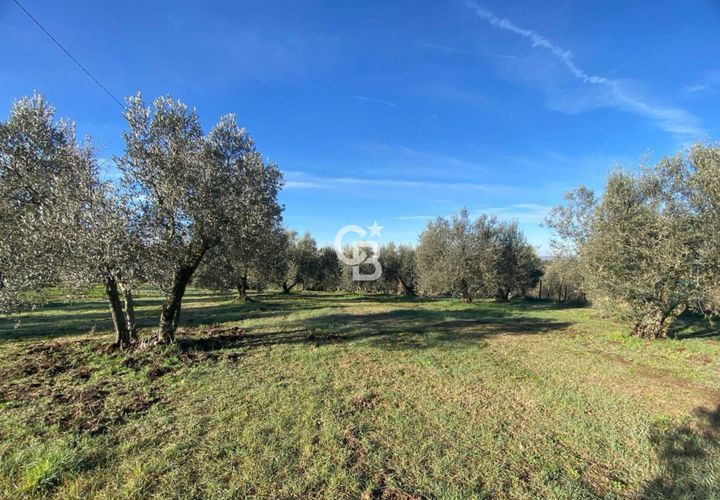 Terra a Viterbo, Viterbo, Viterbo - € 45.000 | Ref: CBI006-960-333048 - foto 1