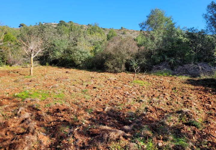 Terra a Denia, Alicante, Denia - € 159.000 | Ref: BR00861 - foto 1