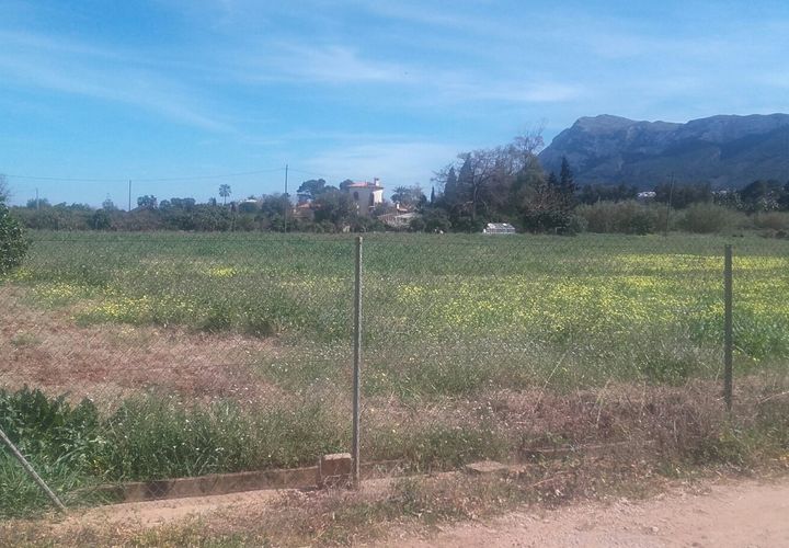 Terra a Denia, Alicante, Denia - € 198.000 | Ref: PAR-D-0020 - foto 1