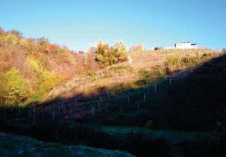 Helårsgrund i Refrontolo, Treviso, Refrontolo - € 219.450 | Ref: A.A. 425-222 - foto 1