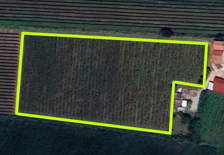 Terra a Cinto Euganeo, Padua, Cinto Euganeo - € 75.000 | Ref: TER 301 - foto 1