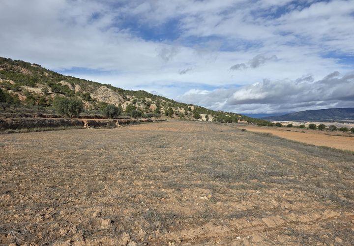 Terra a Encebras, Alicante, Encebras - € 30.000 | Ref: CF3291 - foto 1