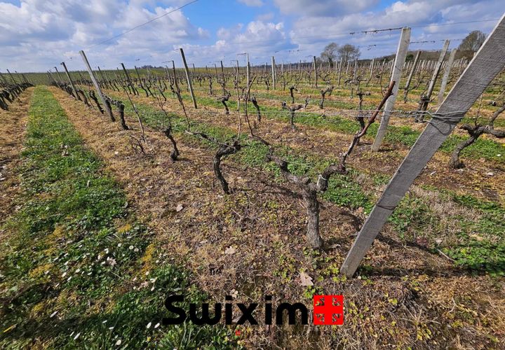 Terra a Ordonnac, Gironde, Ordonnac - € 153.500 | Ref: 231 - foto 1
