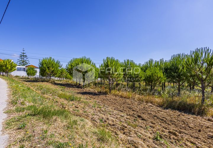 Tomt i Santarem, Santarem, Santarem - € 250 000 | Ref: FR1066 - foto 1