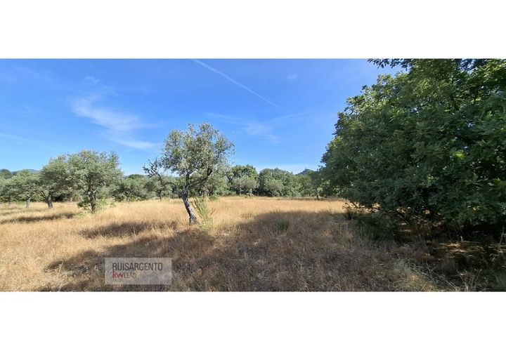 Terra a Aranhas, Castelo Branco, Aranhas - € 59.900 | Ref: TER_242RSKWPT-026451 - foto 1