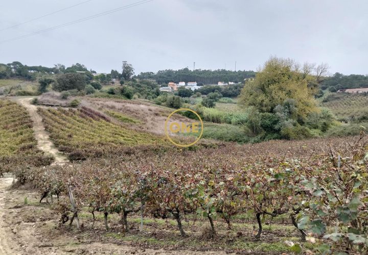Helårsgrund i Mafra, Lisbon, Mafra - € 24.500 | Ref: ONE421719-11 - foto 1