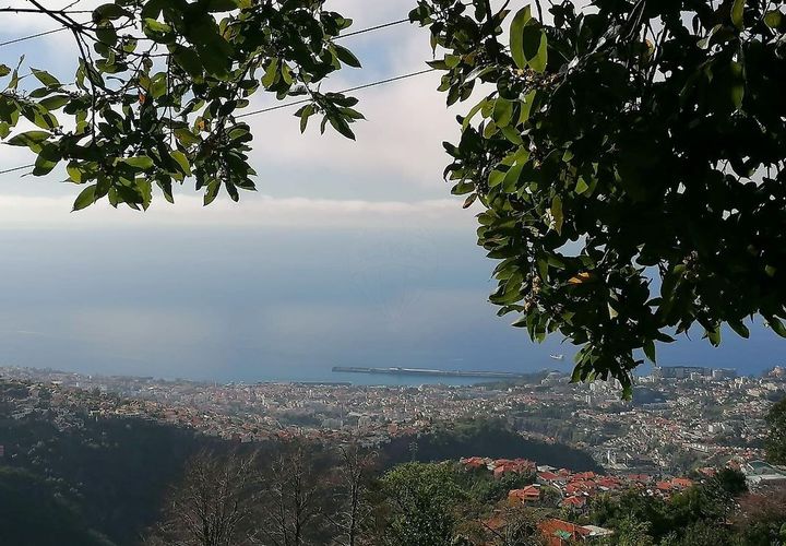 Helårsgrund i Sao Roque, Madeira, Sao Roque - € 130.000 | Ref: 123511227-233 - foto 1