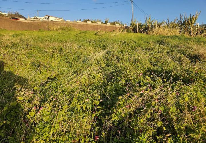 Helårsgrund i Calheta, Madeira, Calheta - € 950.000 | Ref: Terreno Casa das Mudas RS005 - foto 1