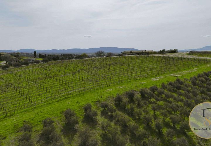 Villa i Preselle, Grosseto, Preselle - € 2.900.000 | Ref: GRO281-854478 - foto 1
