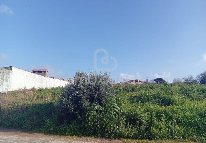 Helårsgrund i Estarreja, Aveiro, Estarreja - € 57.000 | Ref: PP05022026 - foto 1