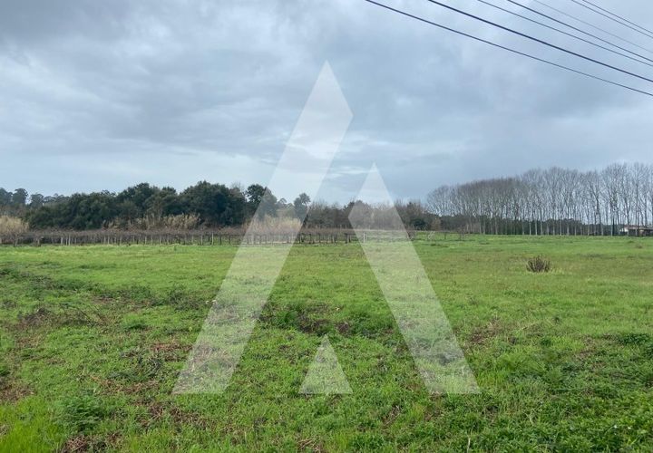 Helårsgrund i Anadia, Aveiro, Anadia - € 80.000 | Ref: 1051388/26 OB - foto 1