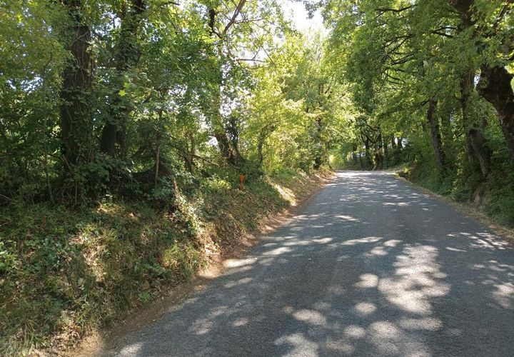 Terra a Saix, Tarn, Saix - € 69.000 | Ref: 045D062CEA344A8D - foto 1