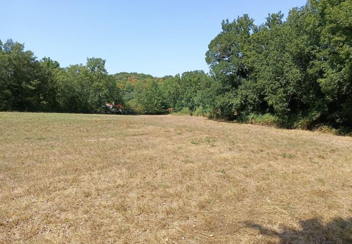 Terra a Saix, Tarn, Saix - € 69.000 | Ref: ABEAE5B7BACA49FF - foto 1