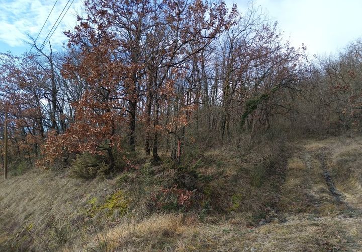 Terra a Graulhet, Tarn, Graulhet - € 24.480 | Ref: 9DCD7F8680A94C11 - foto 1