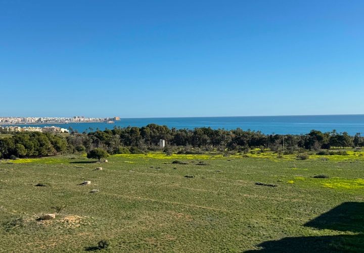 Penthouse in Punta Prima, Alicante, Punta Prima - € 220.000 | Ref: 13381 - Foto 1
