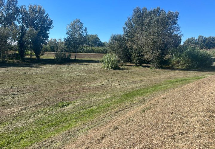 Helårsgrund i Lajatico, Pisa, Lajatico - € 99.000 | Ref: 2026P032 - foto 1