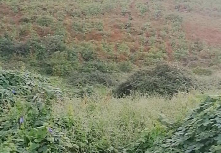 Helårsgrund i Horta, Faial, Horta - € 100.000 | Ref: 1156 - foto 1