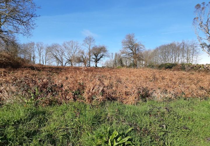 Terra a Landudec, Finistere, Landudec - € 85.000 | Ref: 2712 - foto 1
