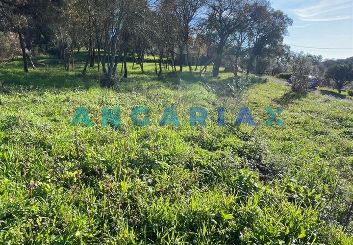Terrain - Tomar, Santarem, Tomar - € 17 000 | Réf : ANG1540 - photo 1